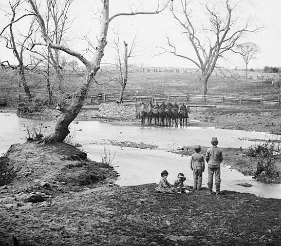 Union Cavalry at Bull Run.jpg